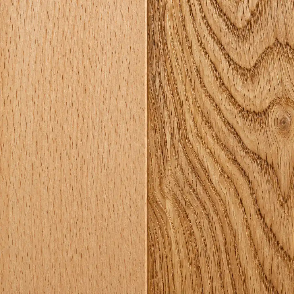 Comparison of Beech and Oakمقایسه راش و بلوط
